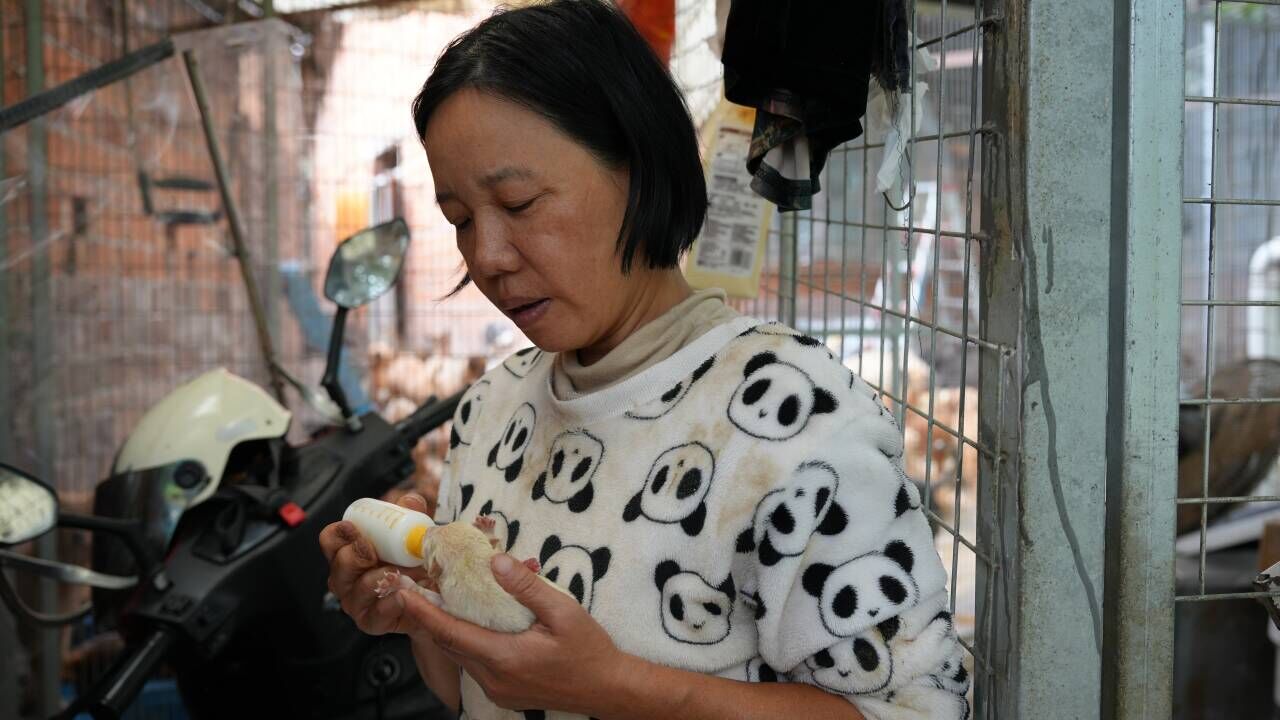 QQ图片20251025152603.jpg